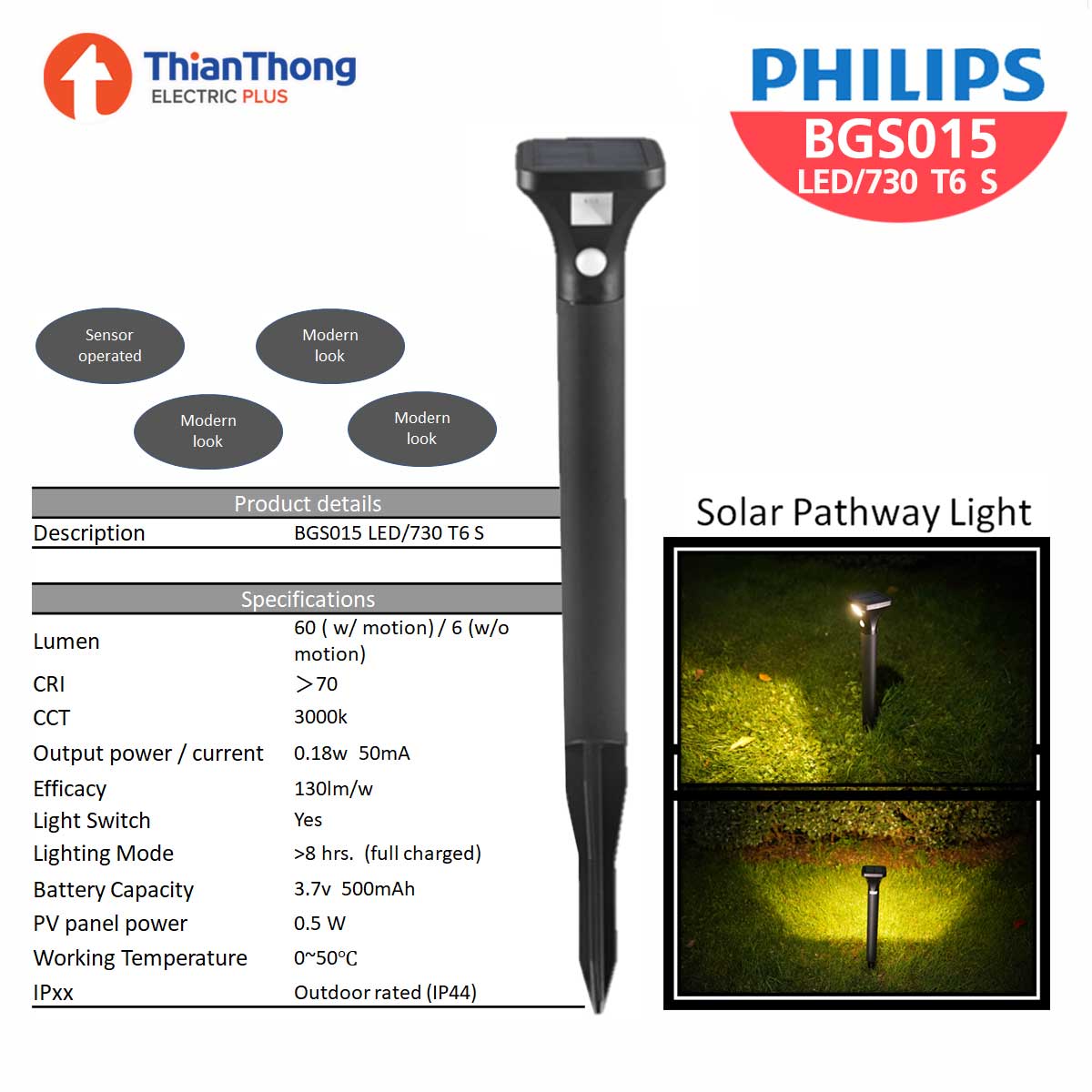 Essential SmartBright Solar Decorative