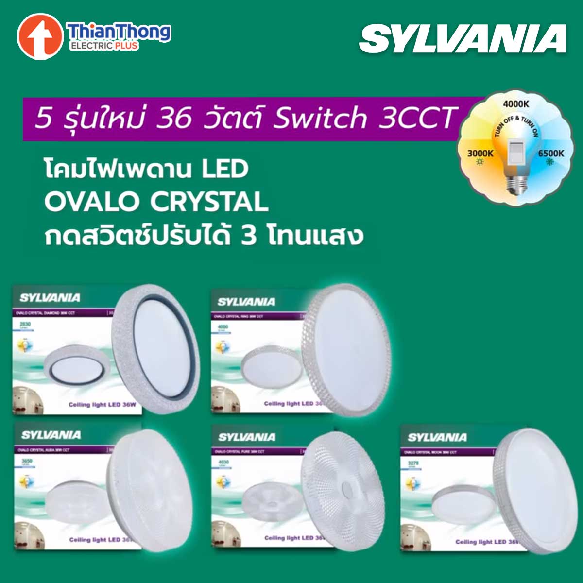 LED OVALO CRYSTAL