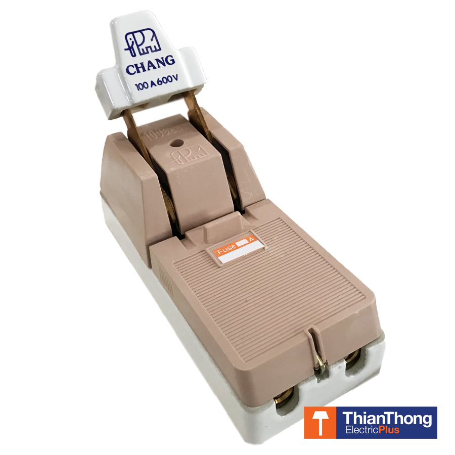 Chang คัทเอาท์ ช้าง Cutout 2P 100A 600V