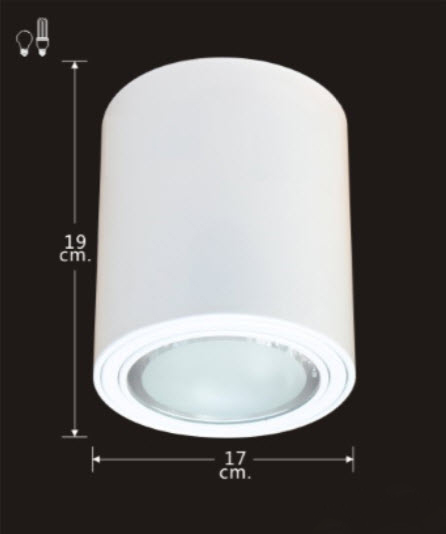 โคมไฟ Downlight ดาวน์ไลท์กลมติดลอย E27 แบบมีกระจกปิด สีขาว S-OW-G-553