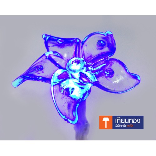 Lighting Plus ไฟประดับ ไฟกระพริบ แฟนซี รูปต่างๆ 24 LEDs 5M คละแบบ