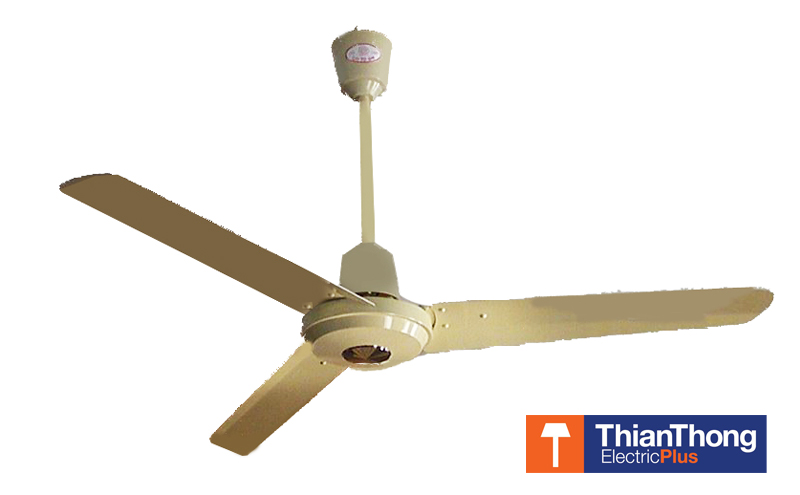 daitoshi fan